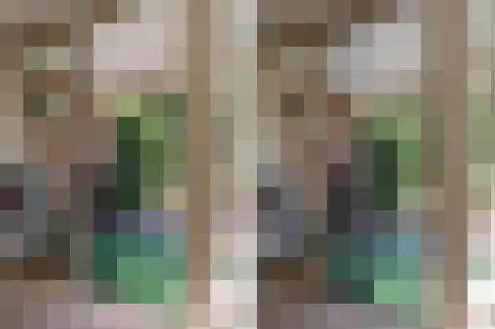 Hugo de Grootstraat 102 Drunen thumbnail 11