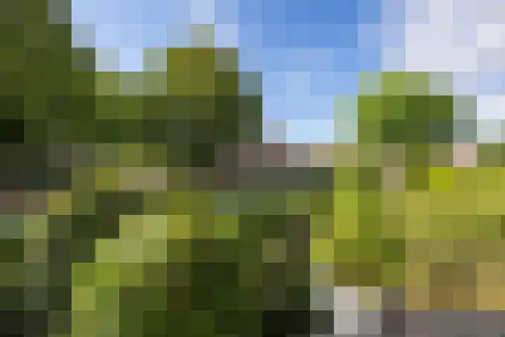 Hugo de Grootstraat 102 Drunen thumbnail 12