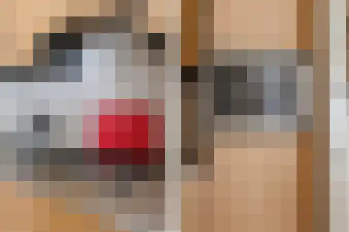 Hugo de Grootstraat 102 Drunen thumbnail 16