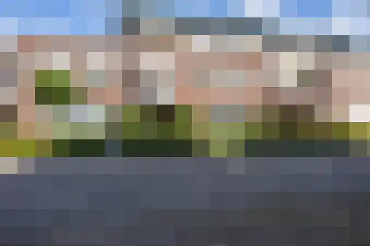 Hugo de Grootstraat 102 Drunen thumbnail 31