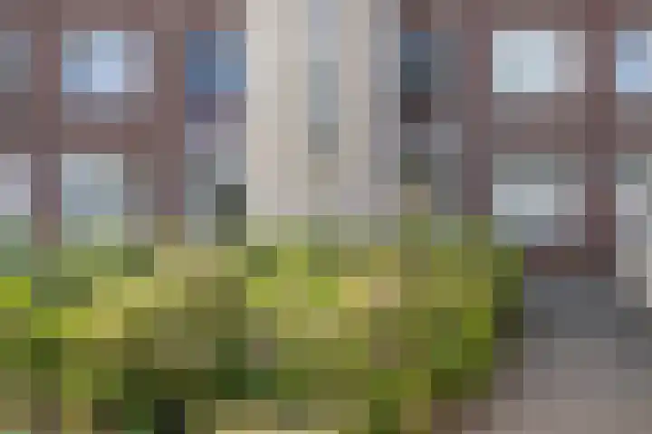 Hugo de Grootstraat 102 Drunen thumbnail 33