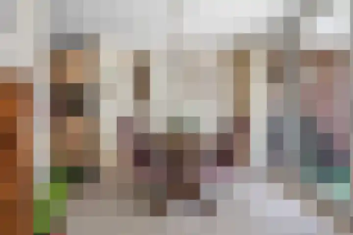 Hugo de Grootstraat 102 Drunen thumbnail 4