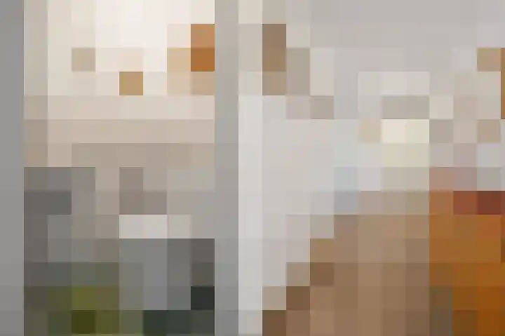 Hugo de Grootstraat 102 Drunen thumbnail 5
