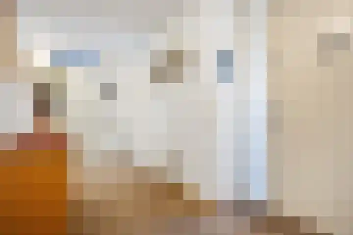 Hugo de Grootstraat 102 Drunen thumbnail 6
