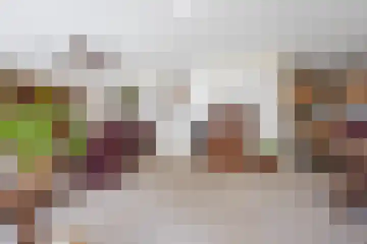 Hugo de Grootstraat 102 Drunen thumbnail 9
