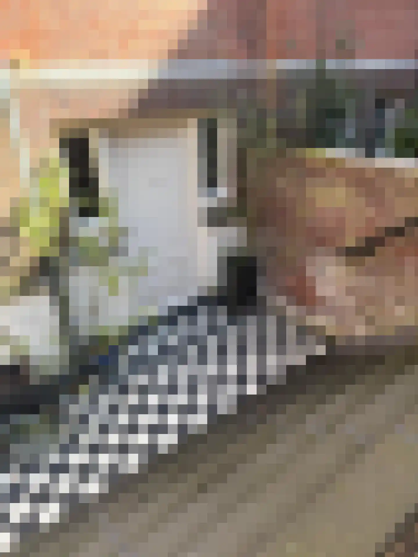 Hugo de Grootstraat 109 Leiden thumbnail 11