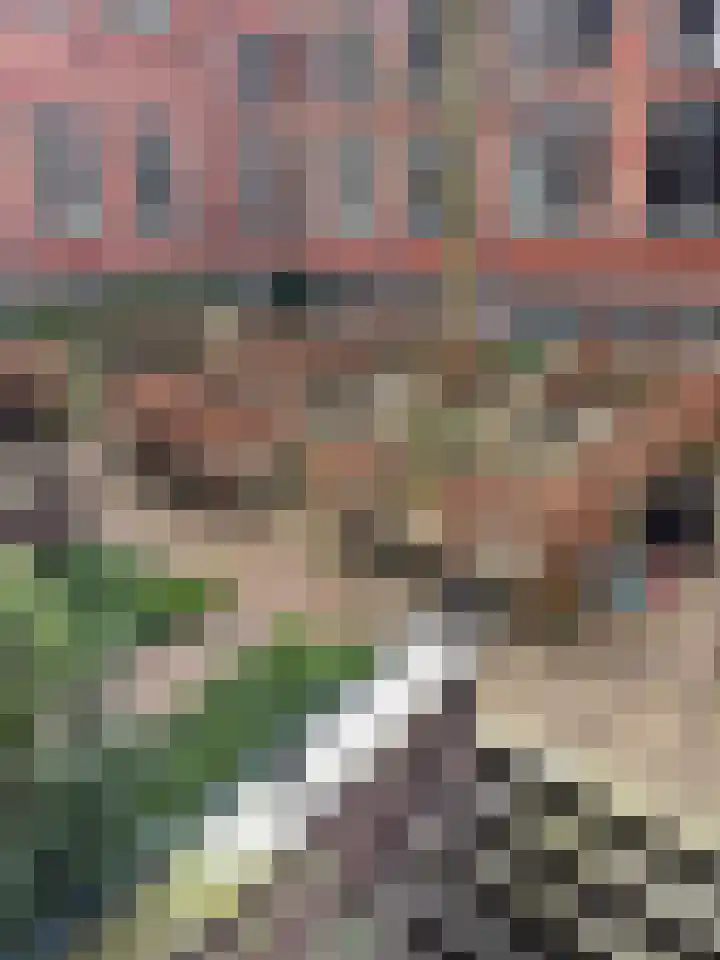 Hugo de Grootstraat 109 Leiden thumbnail 37
