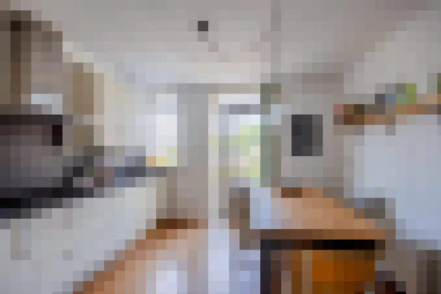 Hugo de Grootstraat 11 Nijmegen thumbnail 9
