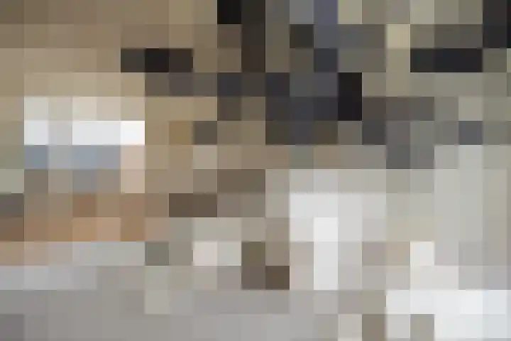 Hugo de Grootstraat 116 Purmerend thumbnail 14
