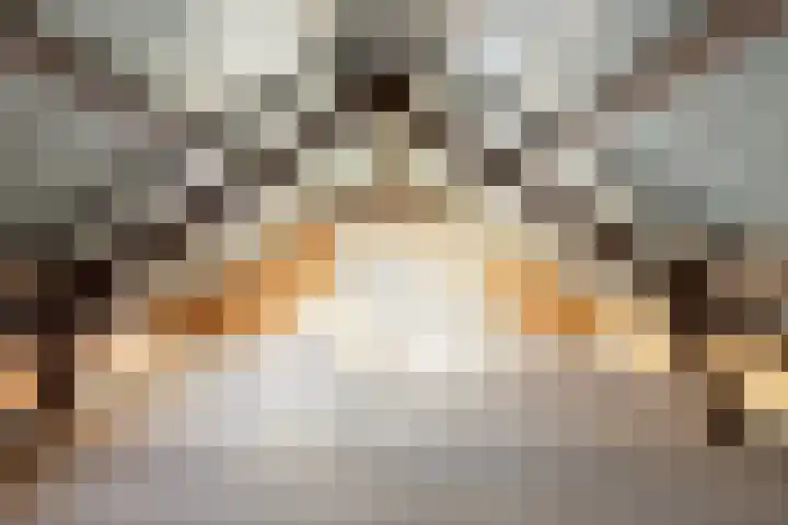 Hugo de Grootstraat 116 Purmerend thumbnail 37