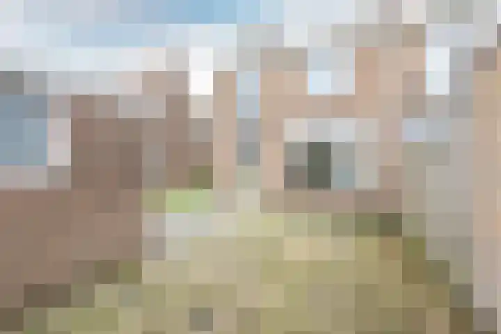 Hugo de Grootstraat 116 Purmerend thumbnail 41