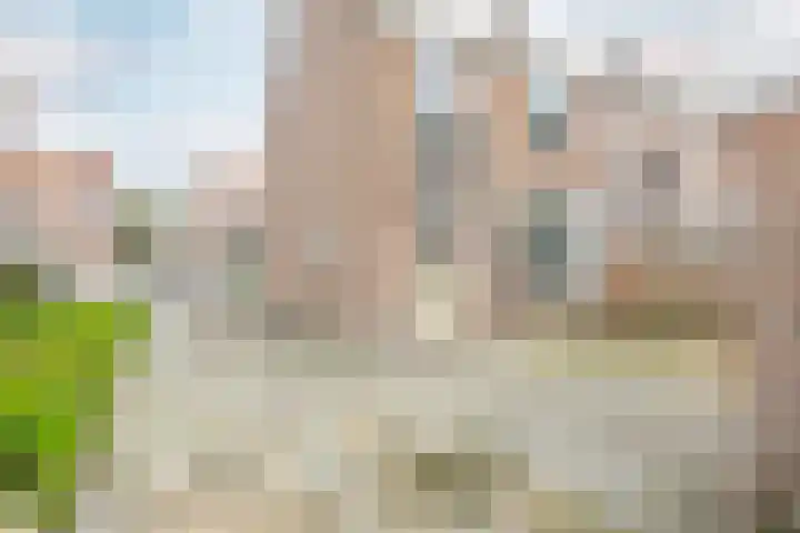 Hugo de Grootstraat 116 Purmerend thumbnail 42
