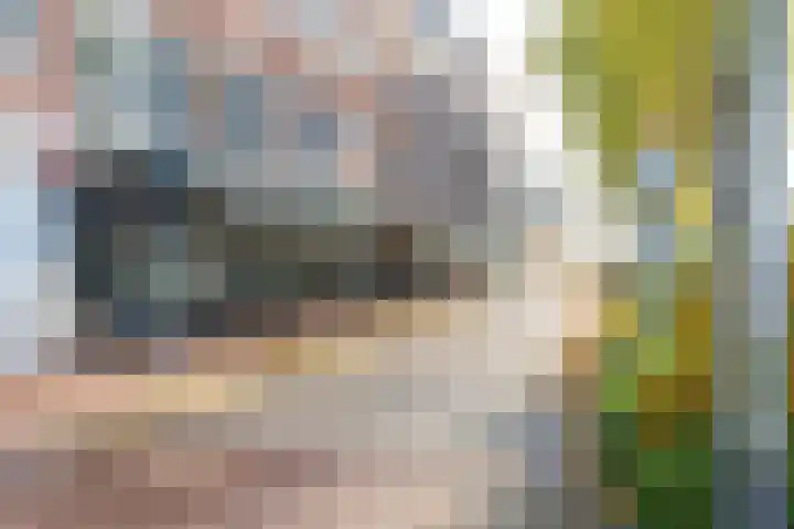 Hugo de Grootstraat 116 Purmerend thumbnail 44