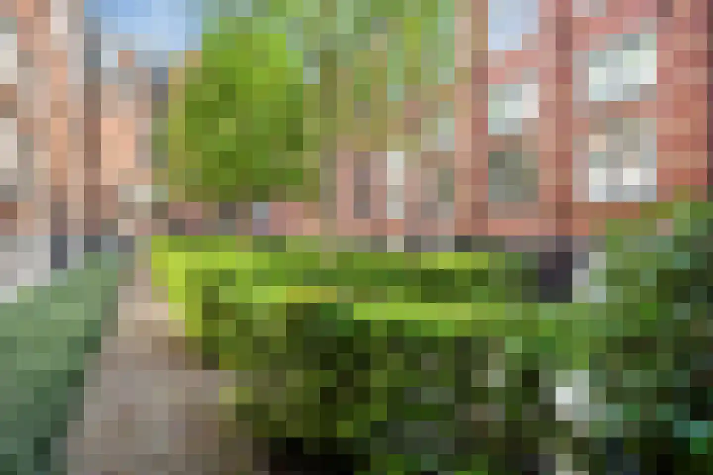 Hugo de Grootstraat 119 Leiden thumbnail 20