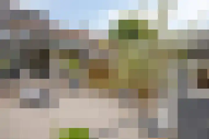 Hugo de Grootstraat 12 Arnhem thumbnail 31