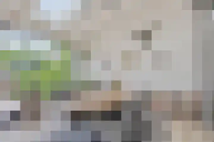 Hugo de Grootstraat 12 Arnhem thumbnail 4