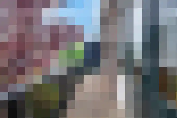 Hugo de Grootstraat 123 Delft thumbnail 17