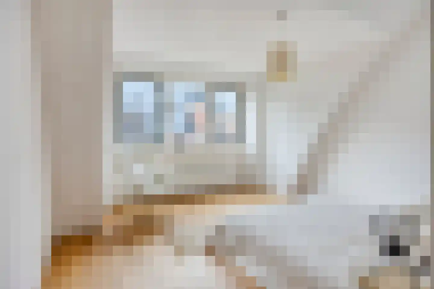 Hugo de Grootstraat 123 Leiden thumbnail 4