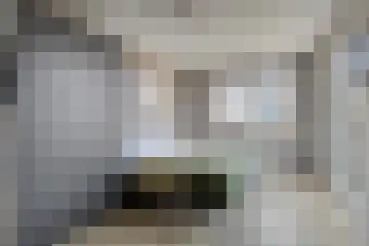 Hugo de Grootstraat 124 Drunen thumbnail 19
