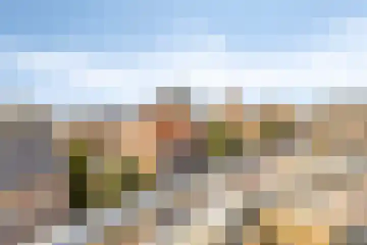 Hugo de Grootstraat 124 Drunen thumbnail 24