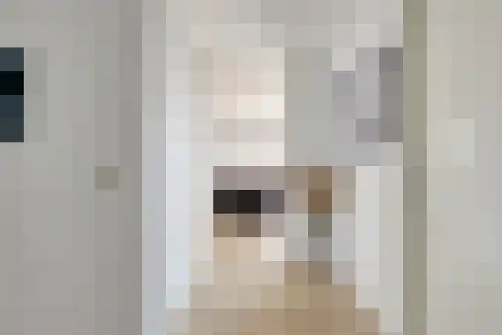 Hugo de Grootstraat 124 Drunen thumbnail 9