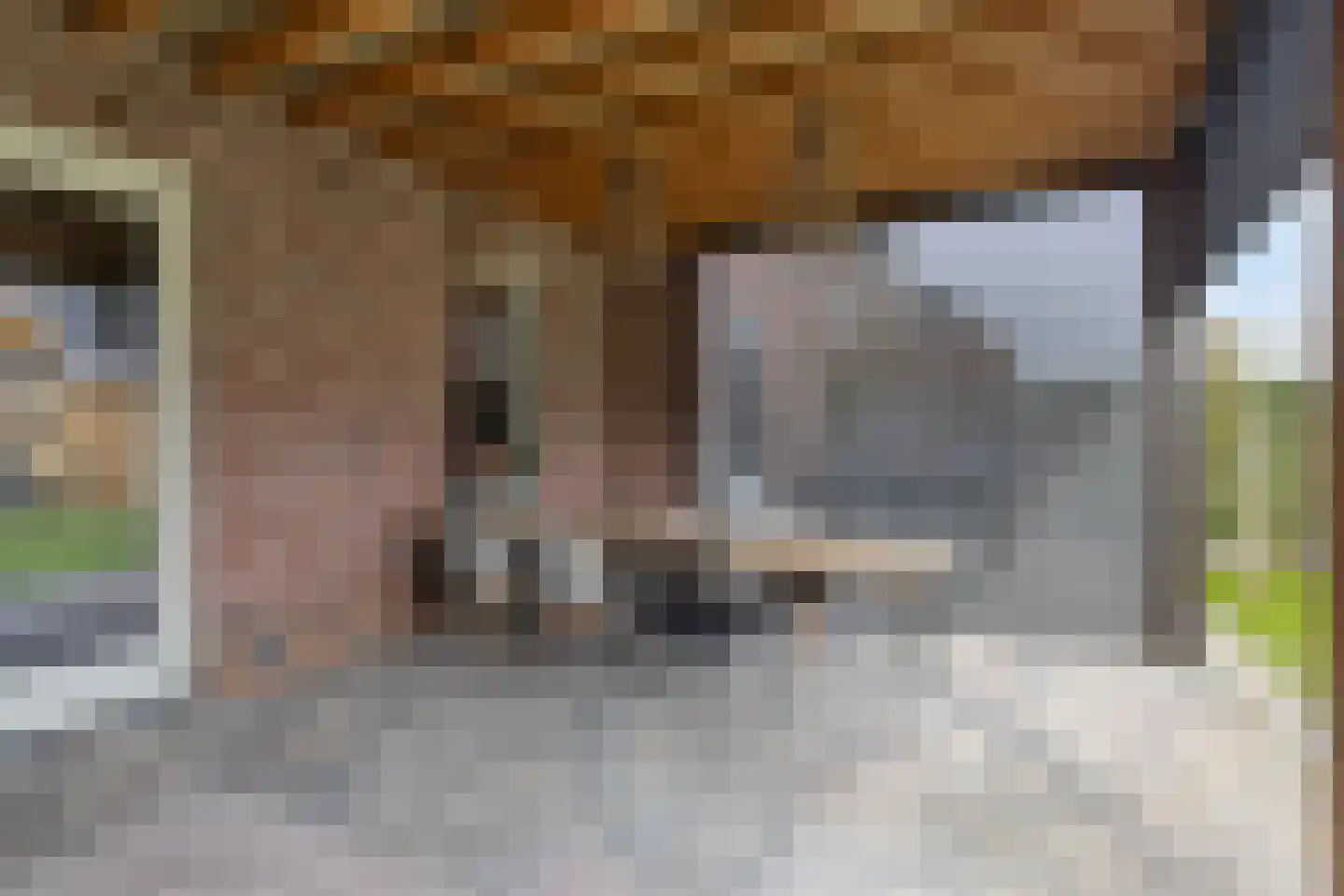 Hugo de Grootstraat 14 Oude Pekela thumbnail 34