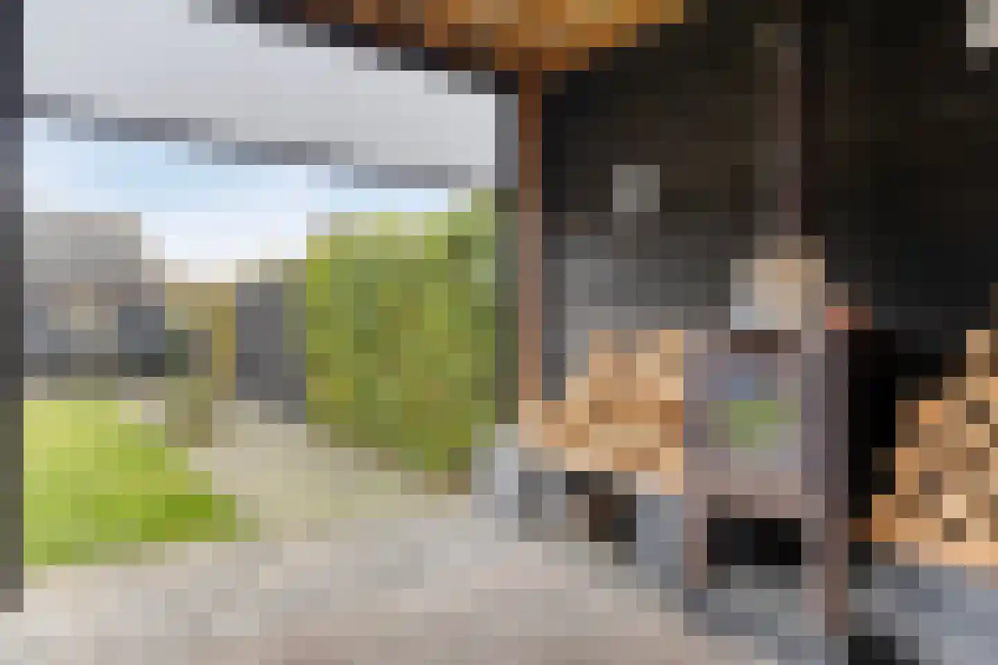 Hugo de Grootstraat 14 Oude Pekela thumbnail 36