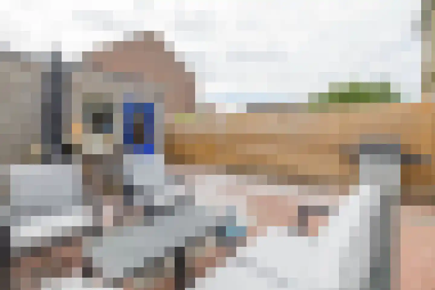 Hugo de Grootstraat 142 Oude Pekela thumbnail 22