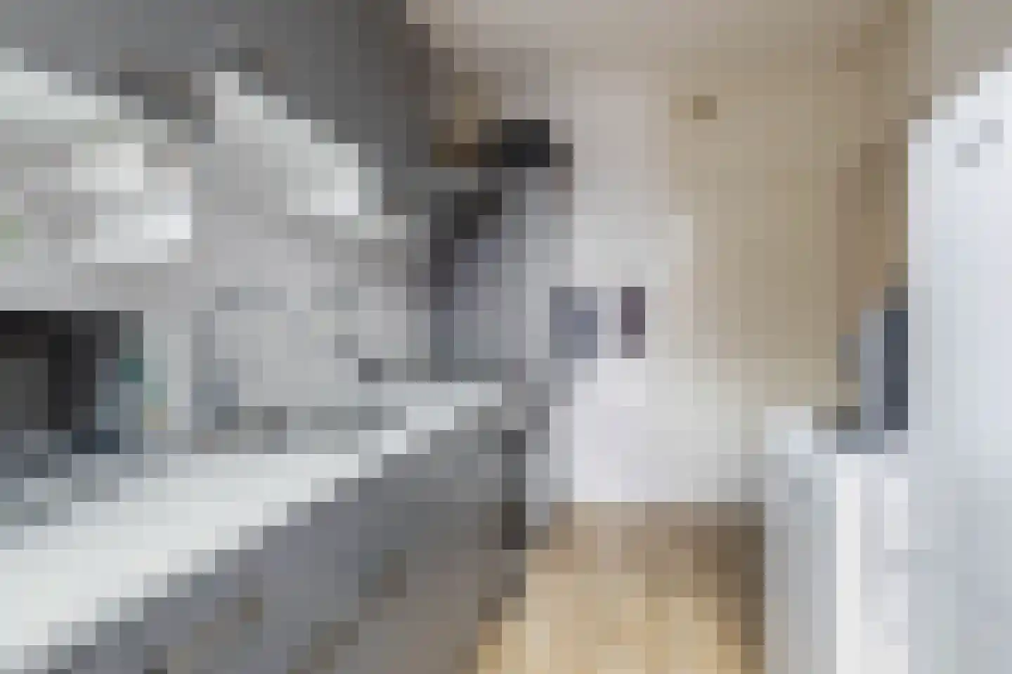 Hugo de Grootstraat 142 Oude Pekela thumbnail 8