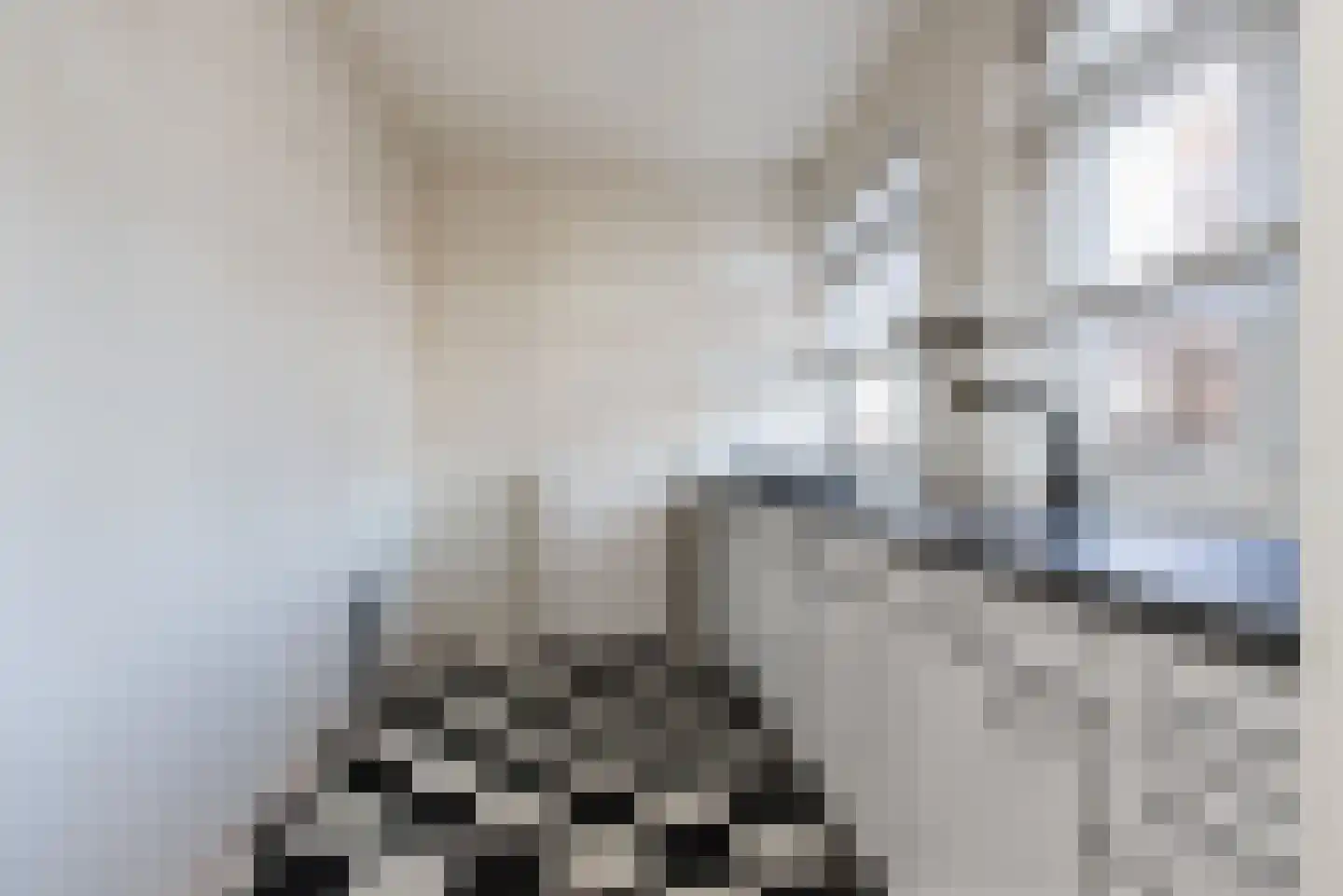 Hugo de Grootstraat 15 Drunen thumbnail 14