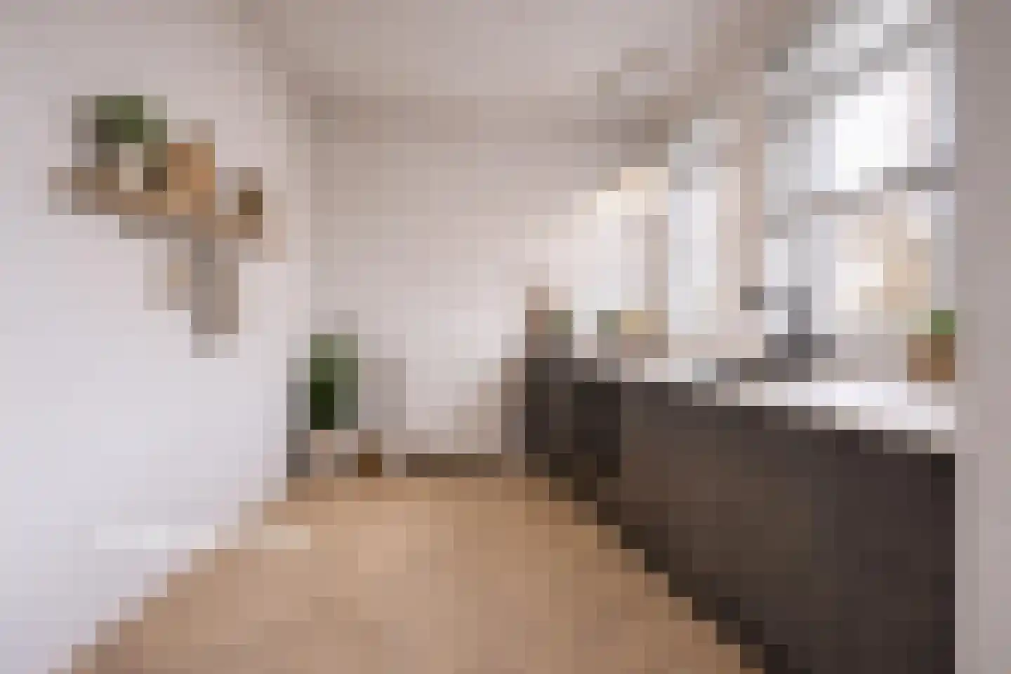 Hugo de Grootstraat 15 Drunen thumbnail 15