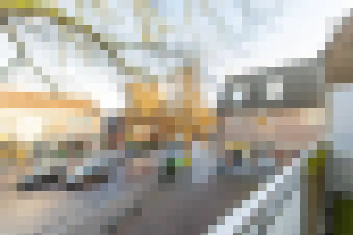 Hugo de Grootstraat 15 Drunen thumbnail 20