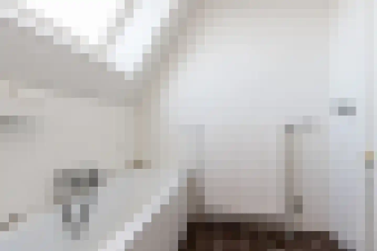 Hugo de Grootstraat 15 Drunen thumbnail 33