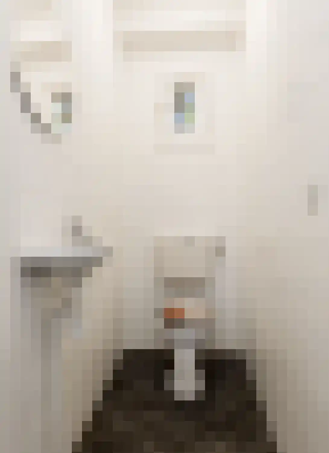 Hugo de Grootstraat 15 Drunen thumbnail 8