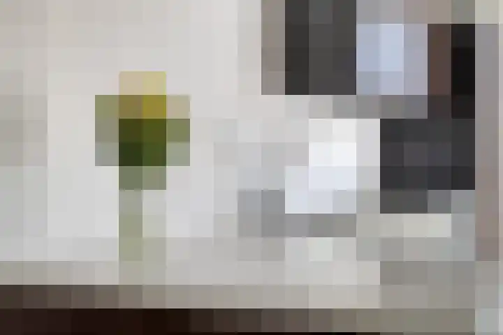 Hugo de Grootstraat 15 Purmerend thumbnail 9