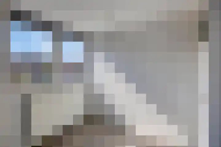 Hugo de Grootstraat 17 Den Helder thumbnail 20
