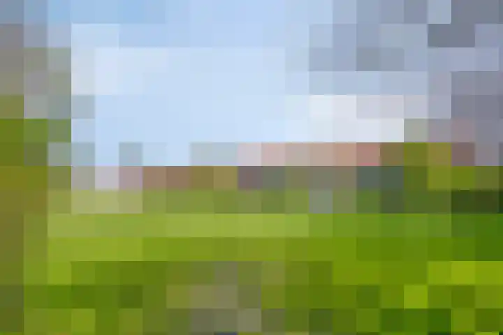 Hugo de Grootstraat 17 Den Helder thumbnail 30