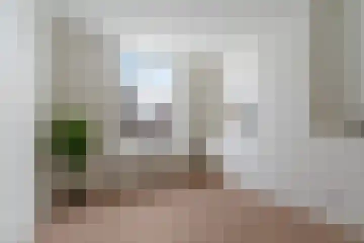 Hugo de Grootstraat 17 G Den Haag thumbnail 12