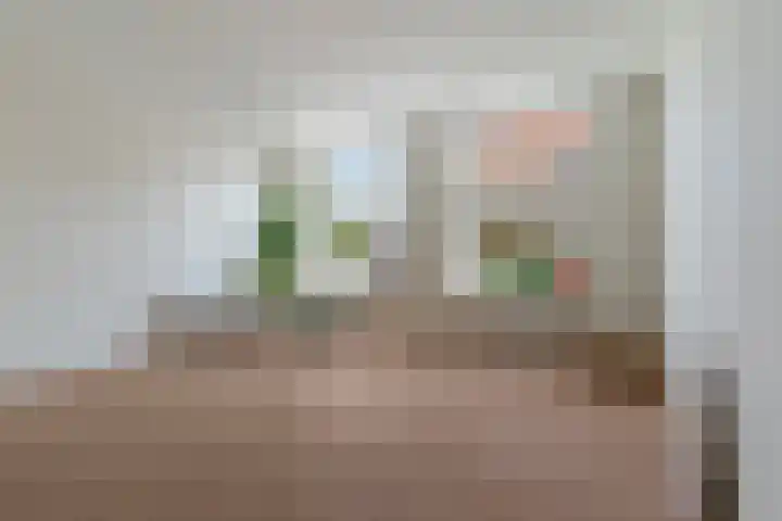 Hugo de Grootstraat 17 G Den Haag thumbnail 6