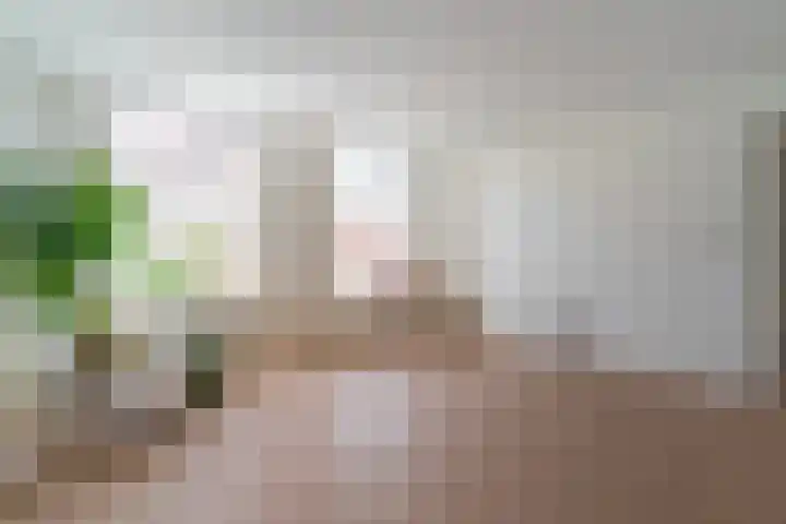 Hugo de Grootstraat 17 G Den Haag thumbnail 7