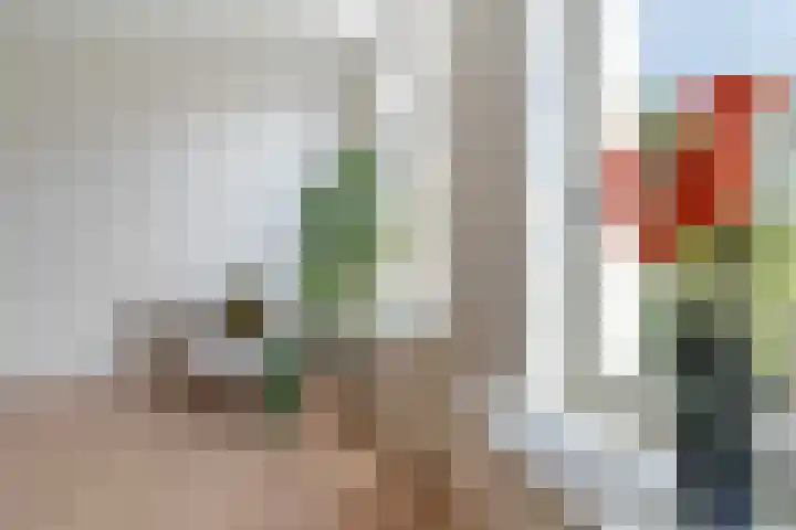 Hugo de Grootstraat 17 G Den Haag thumbnail 8