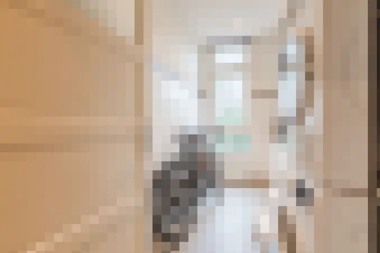 Hugo de Grootstraat 18 Nijmegen thumbnail 20