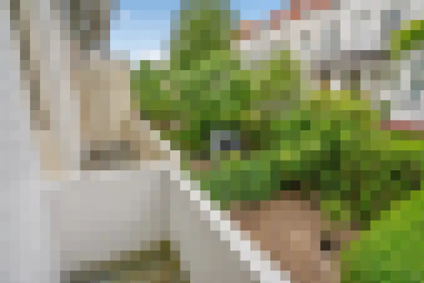 Hugo de Grootstraat 19 Den Haag thumbnail 17