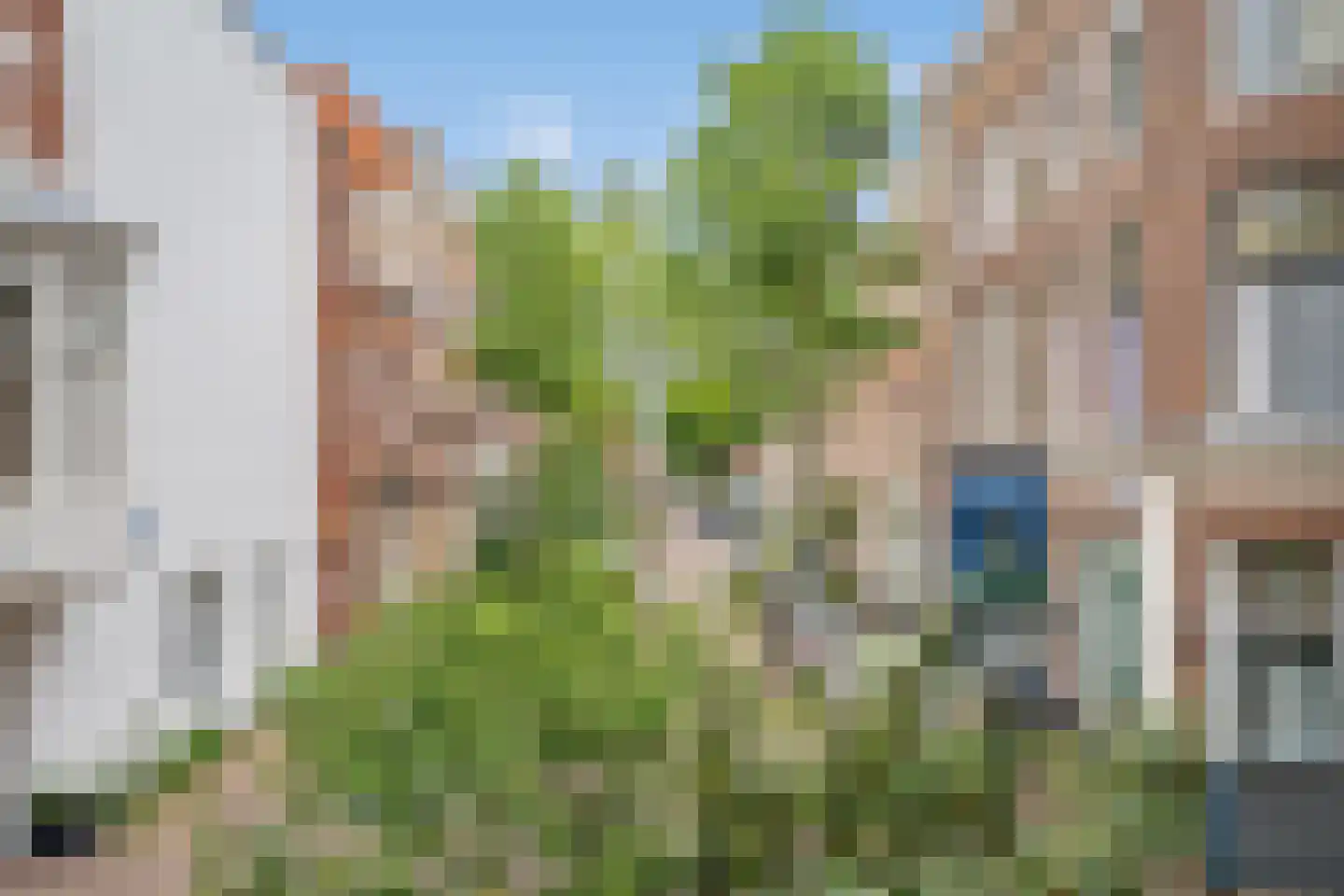 Hugo de Grootstraat 19 Den Haag thumbnail 4