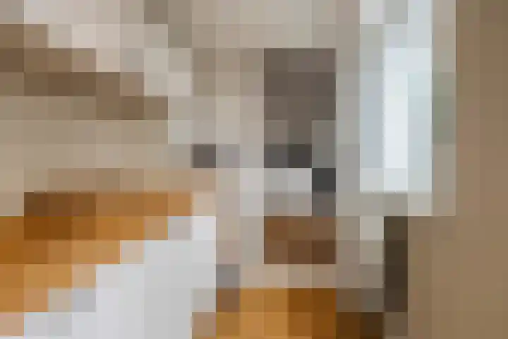Hugo de Grootstraat 19 Den Helder thumbnail 10