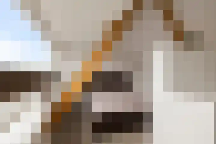 Hugo de Grootstraat 19 Den Helder thumbnail 25