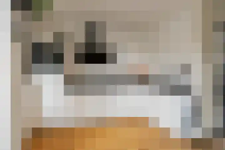 Hugo de Grootstraat 19 Den Helder thumbnail 8