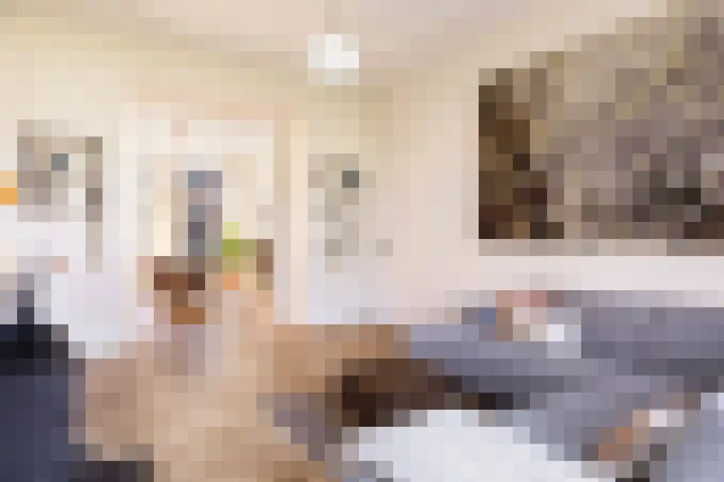 Hugo de Grootstraat 2 BS Utrecht thumbnail 12