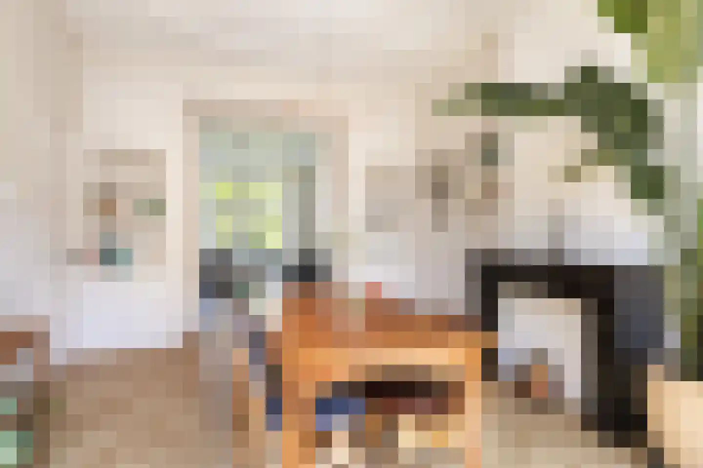 Hugo de Grootstraat 2 BS Utrecht thumbnail 20