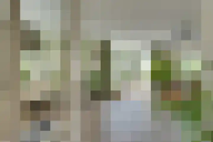 Hugo de Grootstraat 2 Middenbeemster thumbnail 13